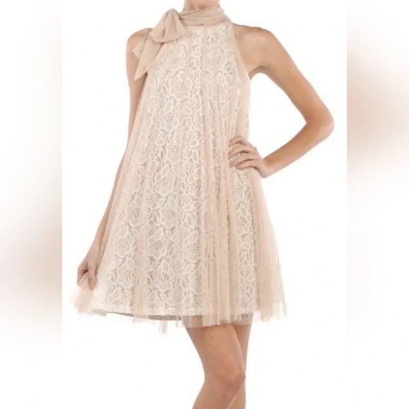 Ryu Tulle & Lace Crochet High Circle Neck Tie Mini Sheath Dress, Sz Large, EUC! - Picture 4 of 11